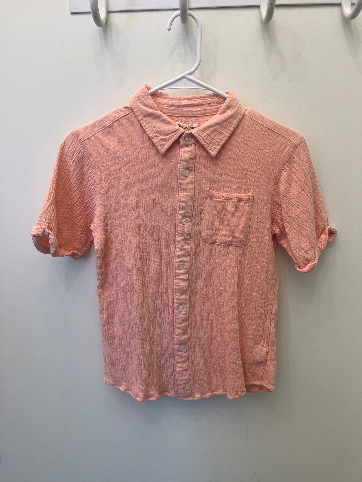 Pink Button Down