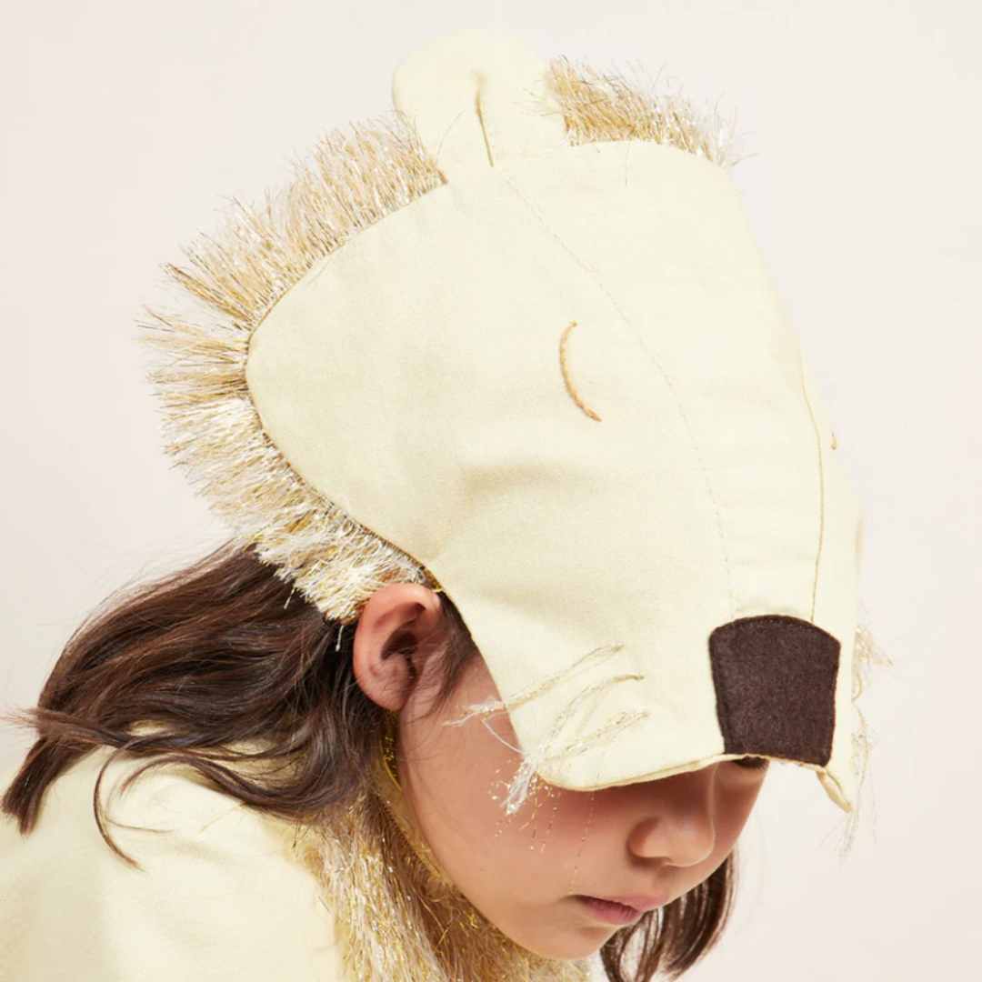 Lion Dress Up
