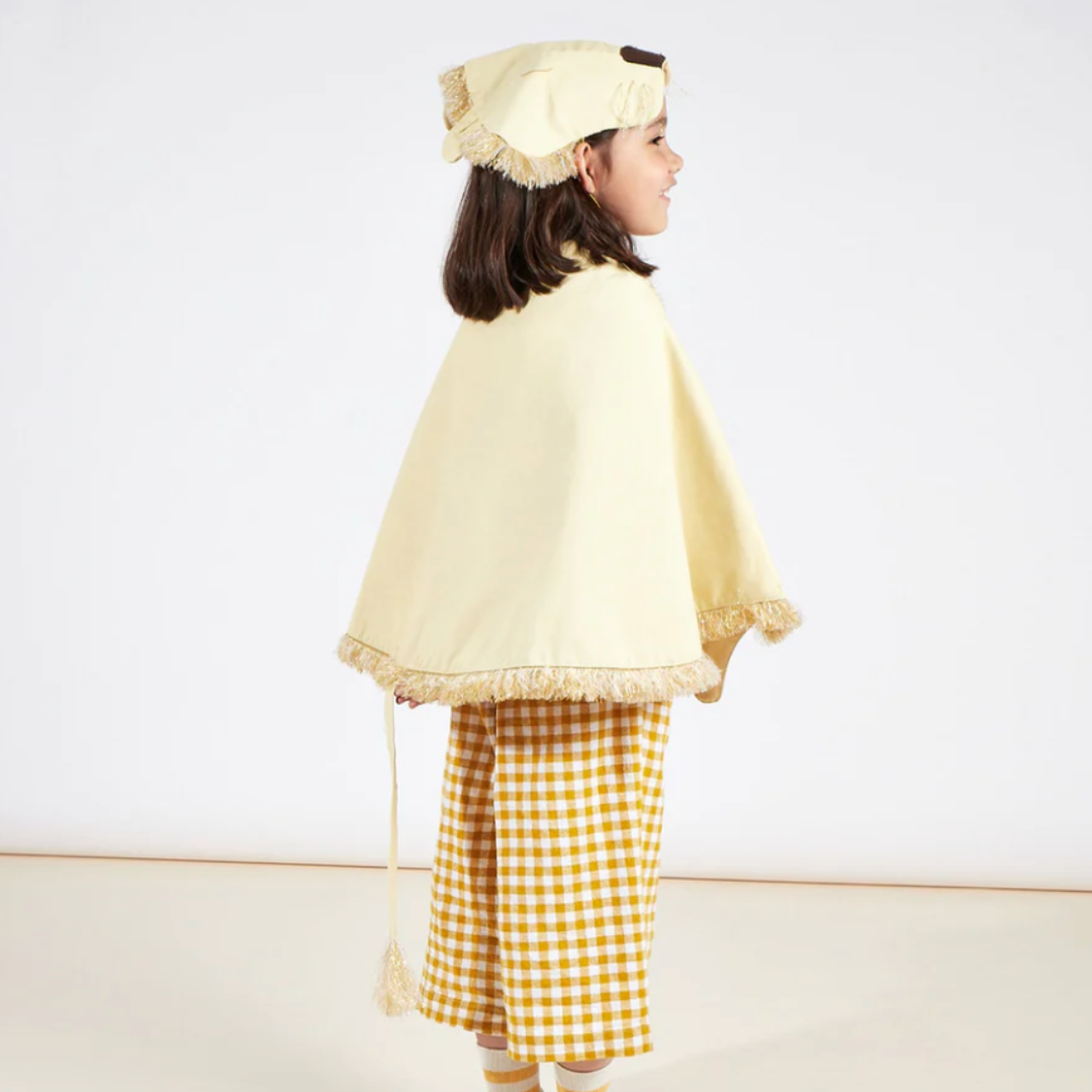 Lion Dress Up