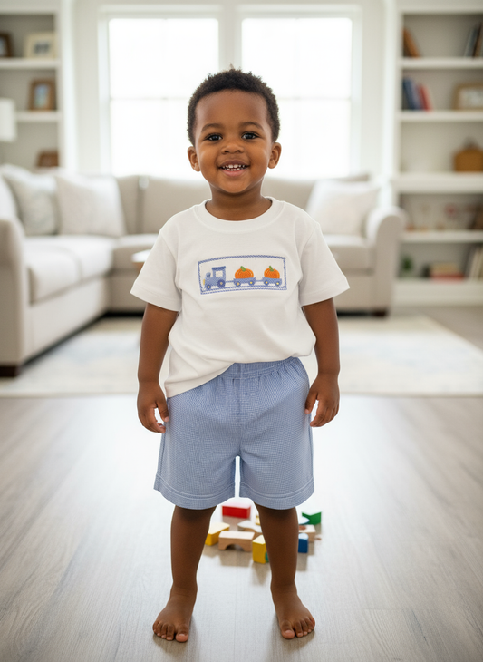 Petit Bebe Blue Pumpkin Train Shorts Set