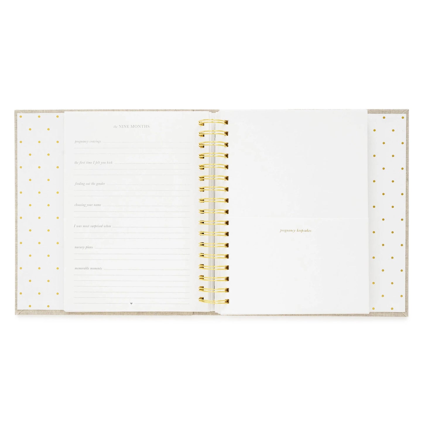 Sugar Paper Flax Baby Book