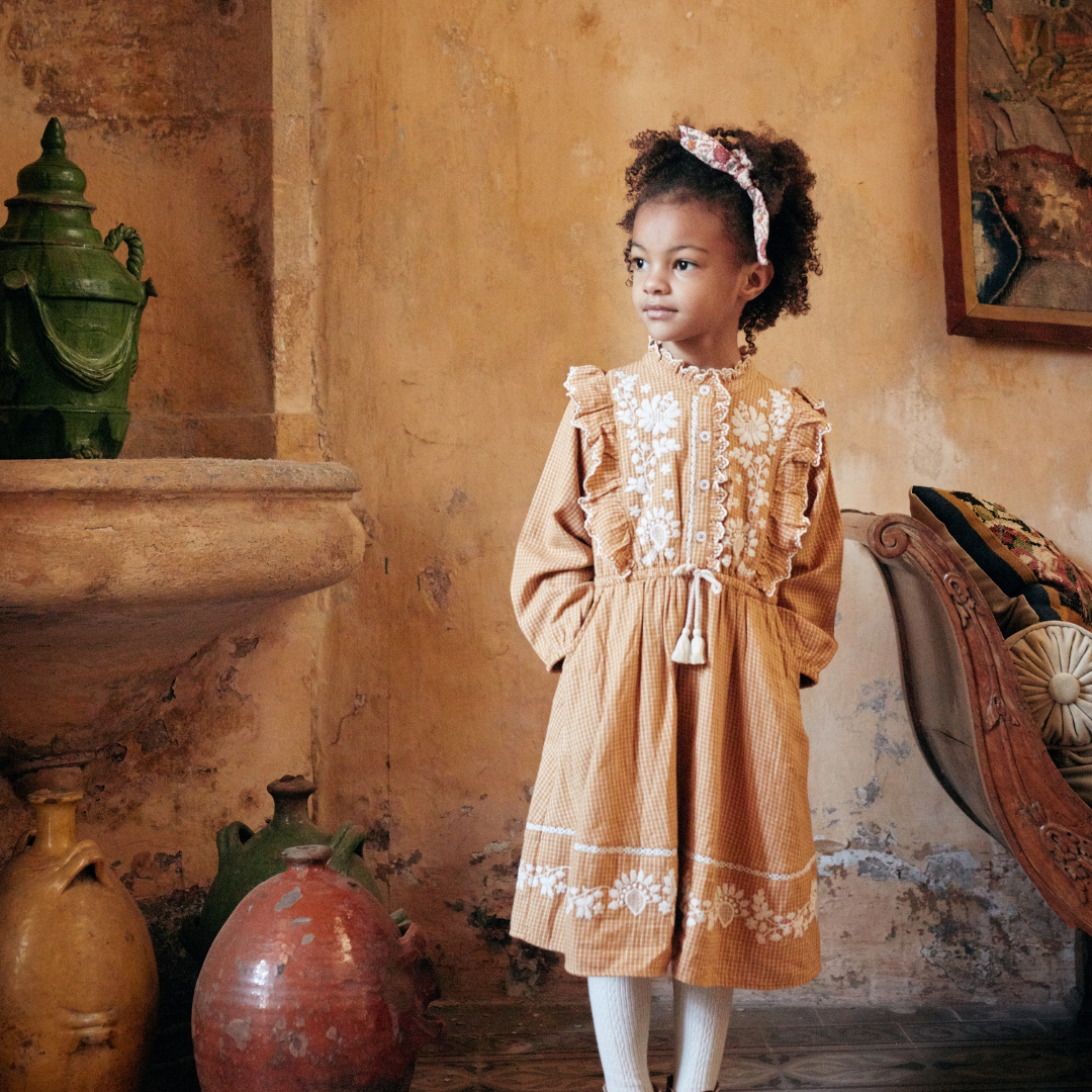 Andrana Dress in Cinnamon
